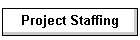 project staffing