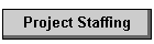 project staffing